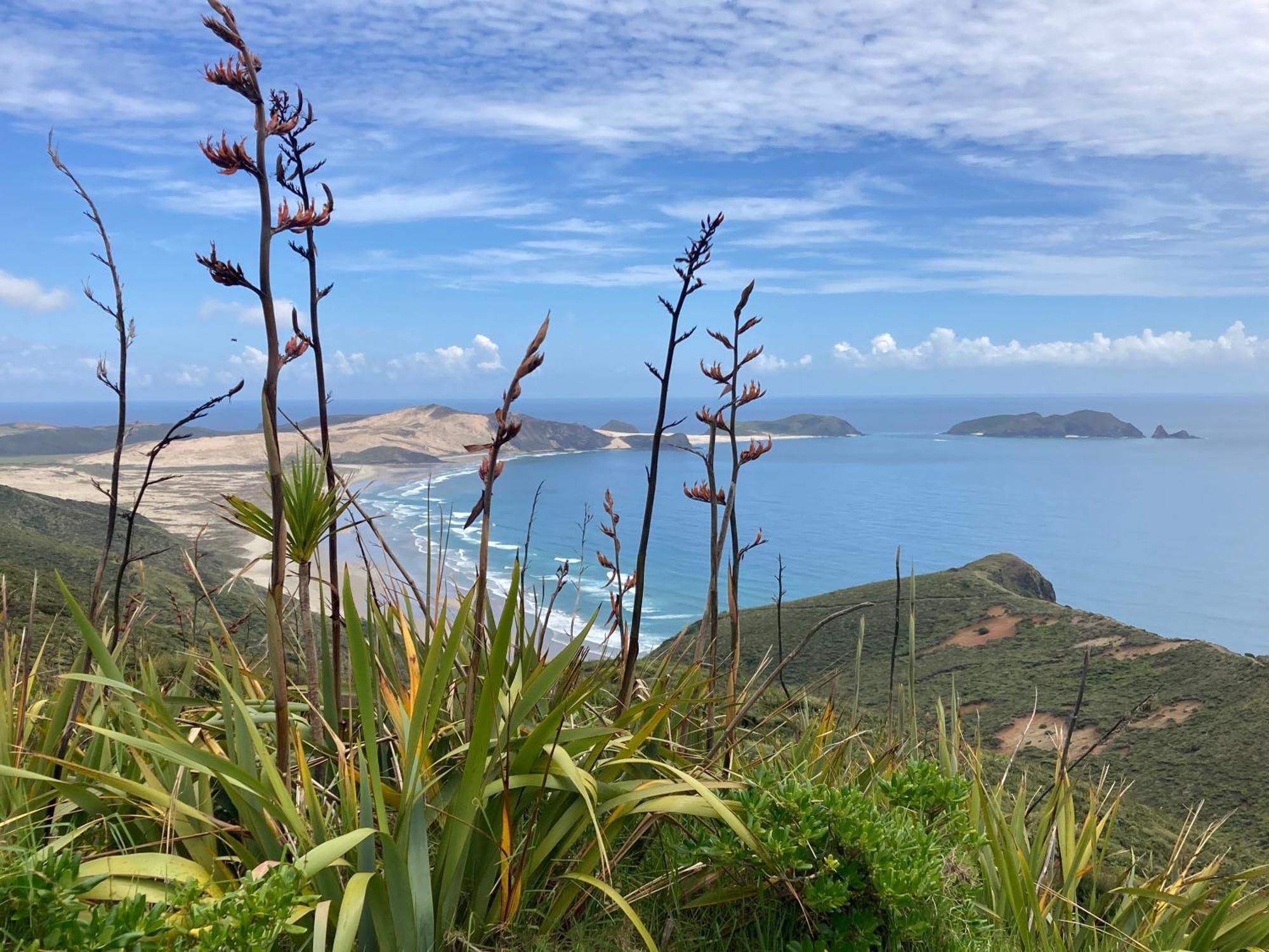 Kaingaroa Far North Panorama 빌라 외부 사진